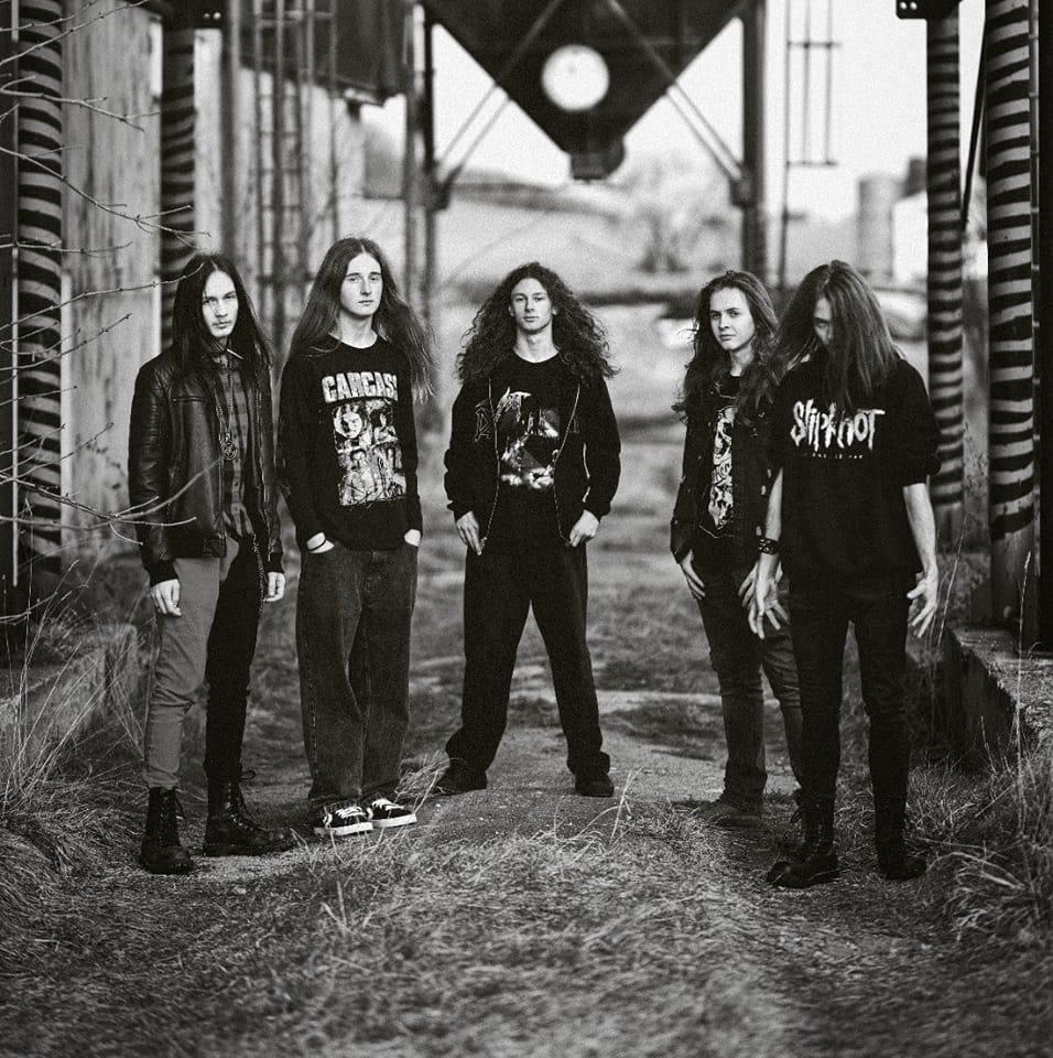 Deadroots